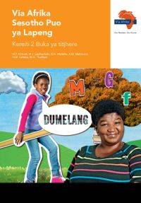VIA AFRIKA SESOTHO GR 2 (TEACHER'S GUIDE)